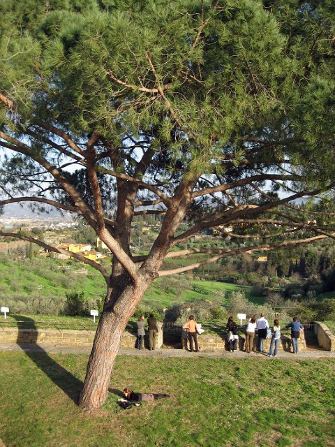 Fort Belvedere-20.JPG